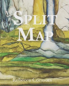 The cover of split map with landscape by Liz Simmons